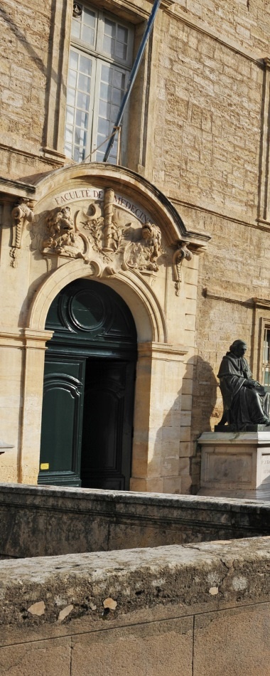 University of Montpellier